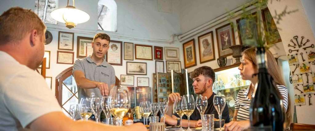 Escape the City: The Ultimate Montserrat & Penedès Wine Day Trip Guide